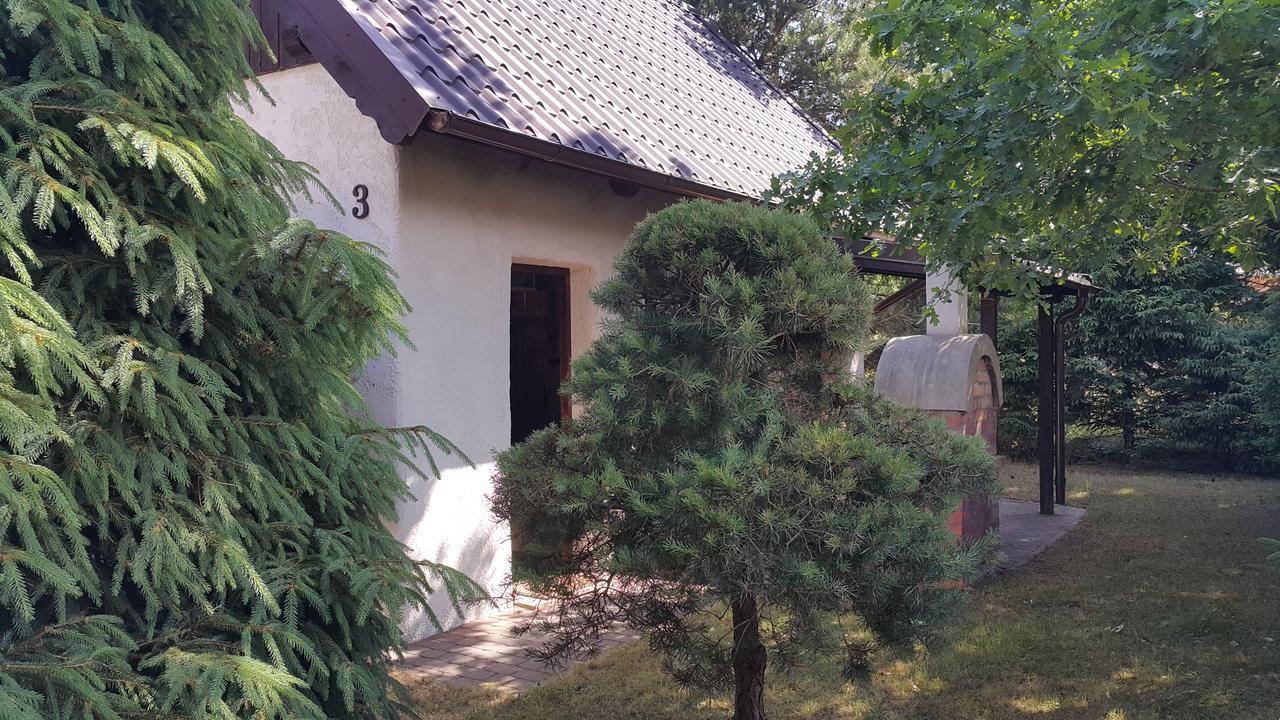 הוילה Jastrzębia Góra Osada Pod Czerwonym Debem - Czarny Mlyn מראה חיצוני תמונה